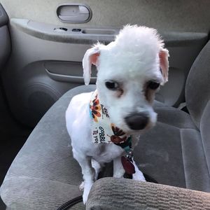 Meet your Posher, Barbara